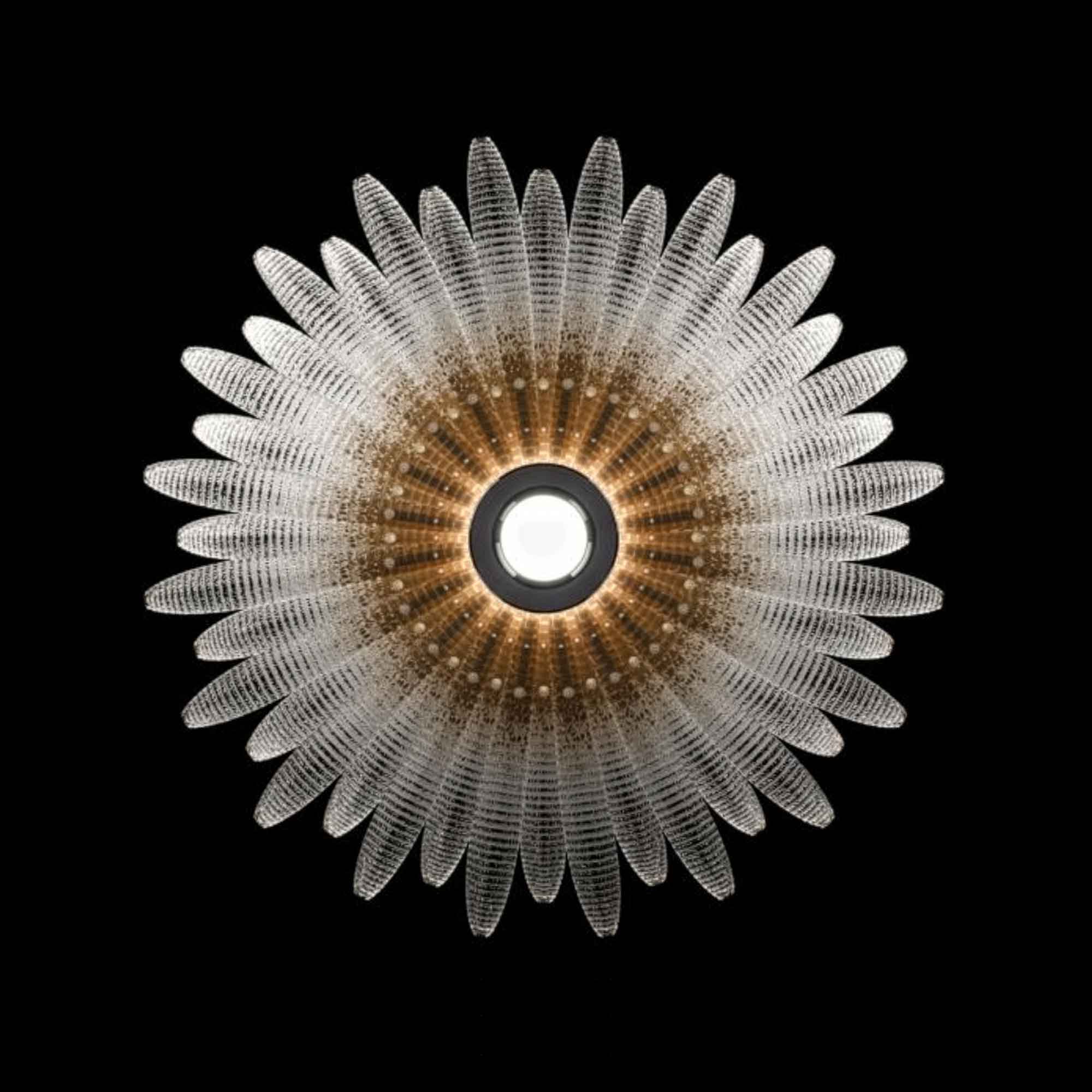 Agave Wall Light round