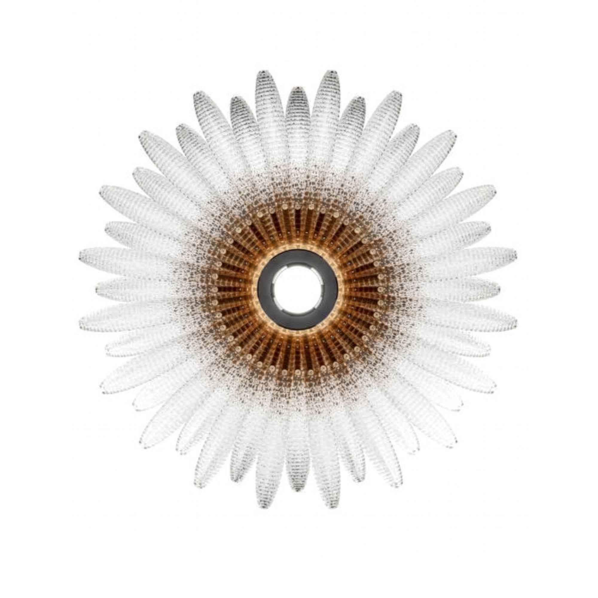 Agave Wall Light round